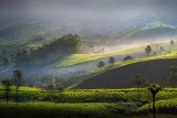 BEAUTY OF MUNNAR