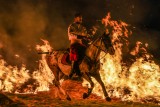 Horse and fire