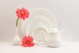 Two flowers and crockery 5693