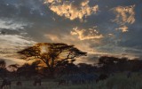 Dusk at Tanzania