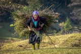 Woman carrying wood