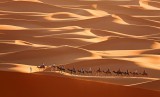 Dreaming sahara desert