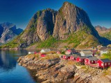 Best of Reine
