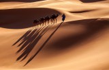 A dreaming sahara desert 01