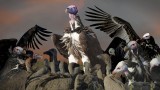 Vultures Rule