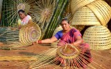Basket Weaver