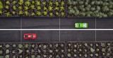 Flower road