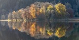 Autumn Mirror