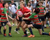 Intense Rugby Game 124