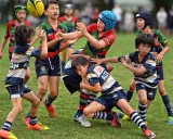 Kid Rugby 105