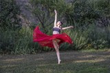 Dancing in a Garden 9096