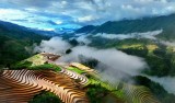 MU CANG CHAI IN THE CLOUDS