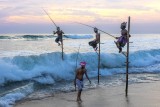 Sri Lankan Stilt Fishermen