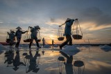 START WORKING IN DAWN