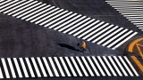 Pedestrian zebra line 12