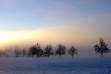 Leon Vidic_foggy winter morning