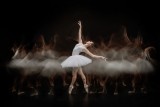 Ballet Motion 2
