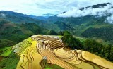 MU CANG CHAI COLORS