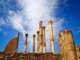 Volubilis 3