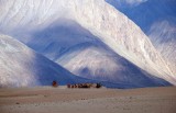 Ladakhi travel