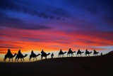 The journey of the Sahara desert