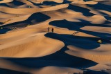 Senek desert