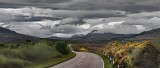 The Long and Winding Road