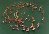 rong di vong