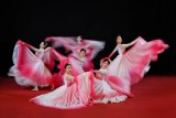 Dynamic Ethnic Dance 21