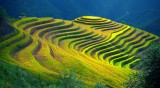 Lao Chai 