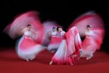 Chinese Dance 103