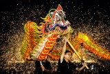 Dragon Dance Performance 02
