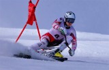 Skibob 2