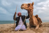 Camel Head