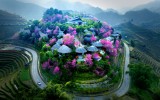 Mua xuan tren Mu Cang Chai