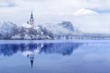 Bled zima